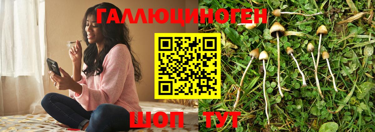 Псилоцибиновые грибы ЛСД Знаменск