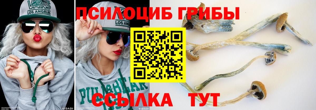Знаменск  Псилоцибиновые грибы ЛСД  Вход с VPN  Галлюциногенные грибы MAGIC MUSHROOMS 